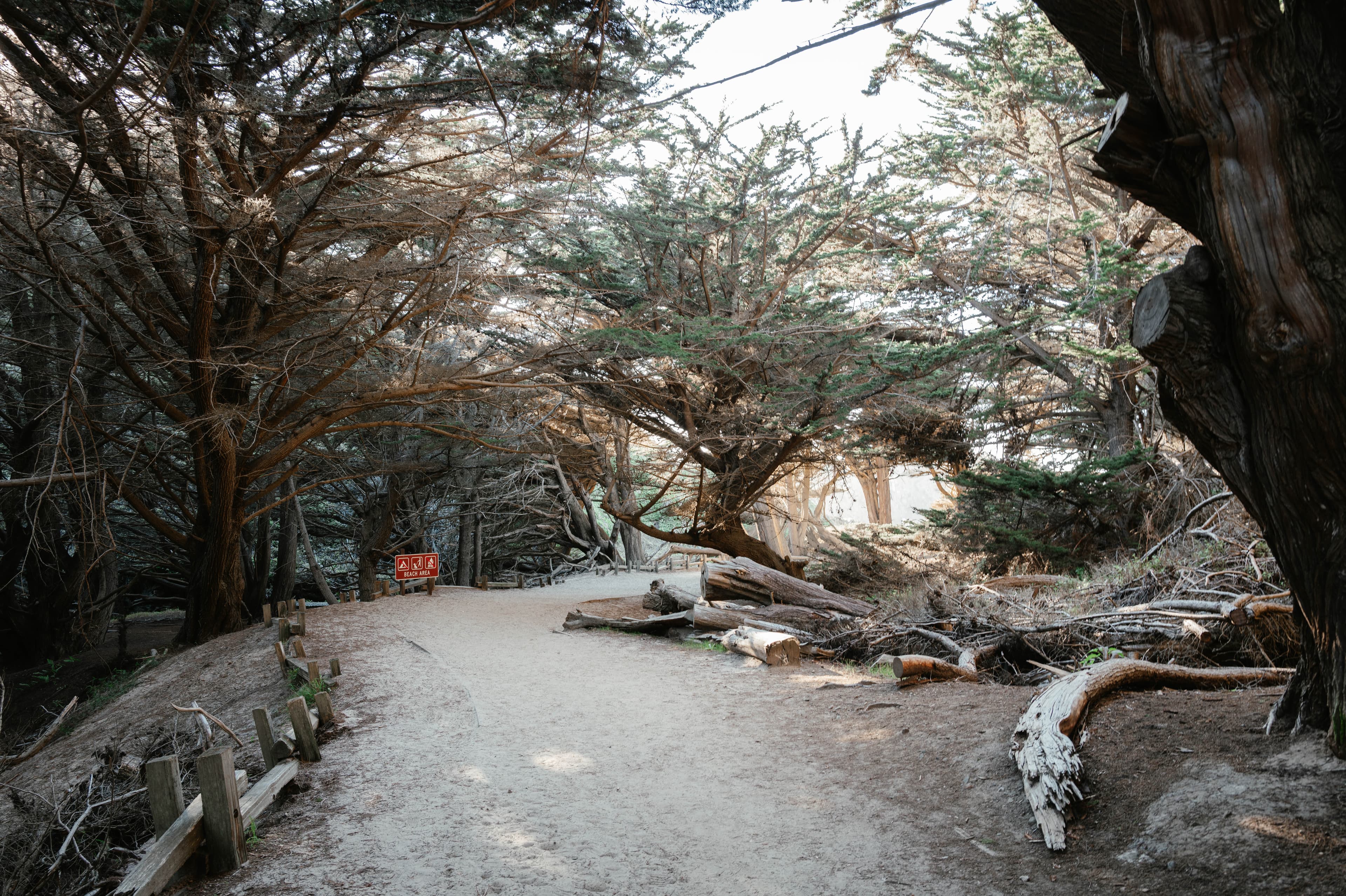Pfeiffer Beach entrance